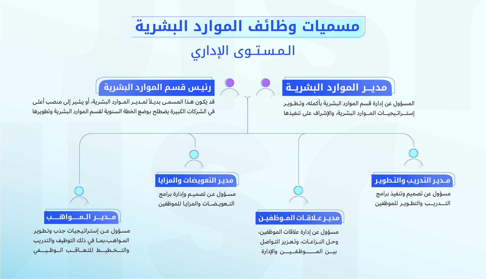 infographic-مسميات-وظائف-المستوى-الاداري-1